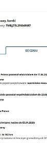Obraz 3/4