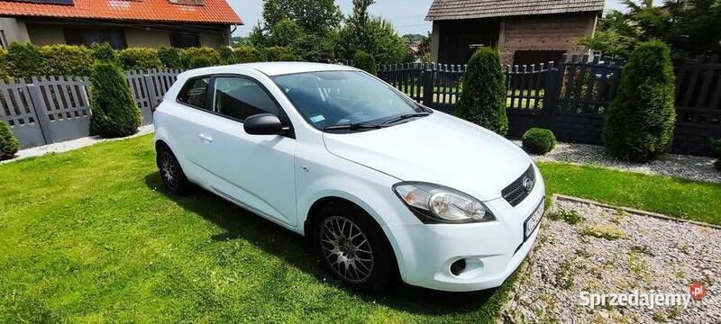 Biały Używany 2010 Kia ProCeed Hatchback | 4300 zł - Obraz 1/4