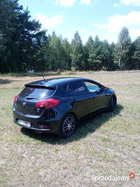 Czarny Używany 2016 Kia Ceed Hatchback | 28 200 zł (Uczciwa cena) - Obraz 1/4