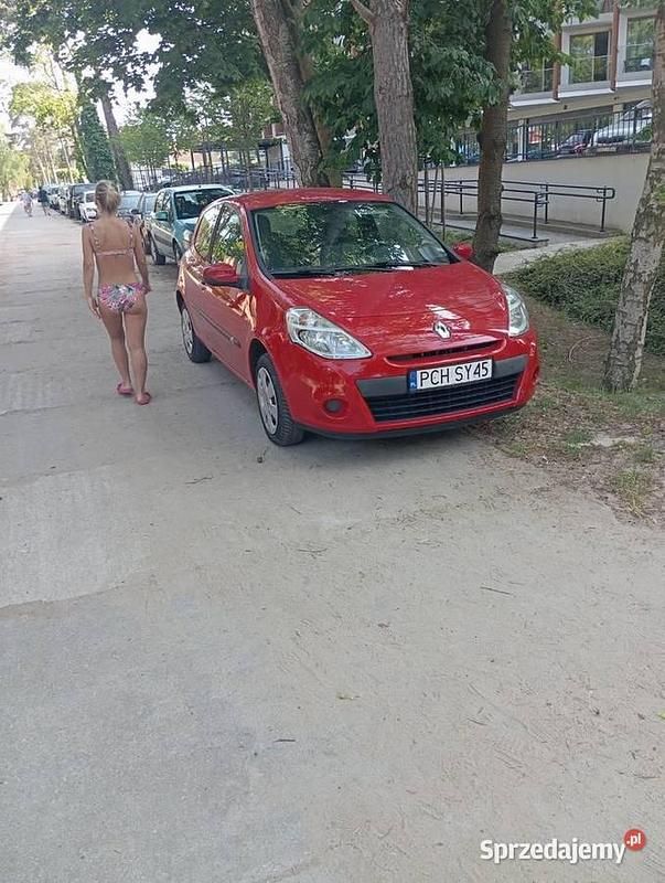 Używany 2010 Renault Clio II | 13 500 zł (Drogi) - Obraz 1/1