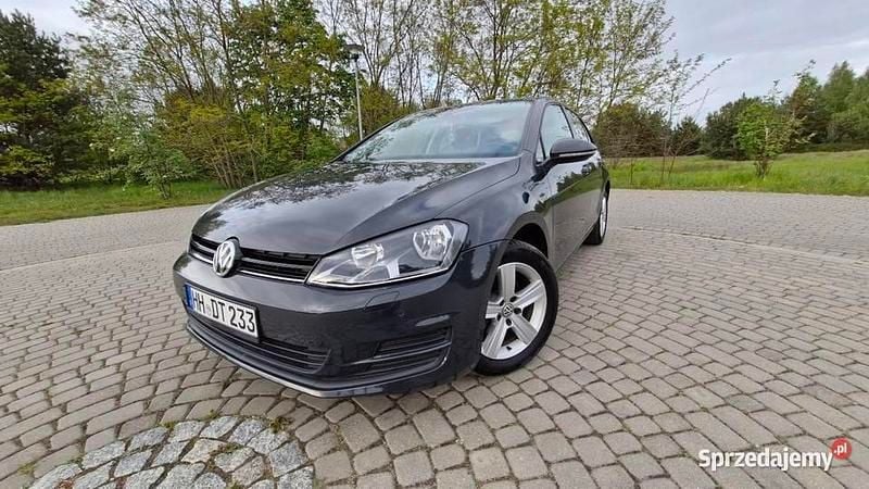 Szary Używany 2014 VW Golf VII Hatchback | 34 999 zł (Uczciwa cena) - Obraz 1/4