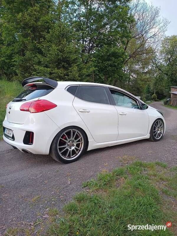 Biały Używany 2014 Kia Ceed GT Hatchback | 34 500 zł - Obraz 1/4