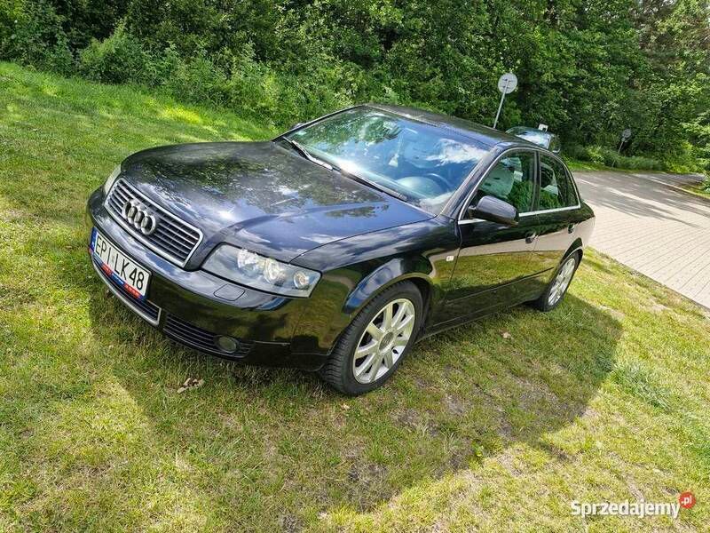 Używany 2003 Audi A4 | 12 600 zł (Drogi) - Obraz 1/4