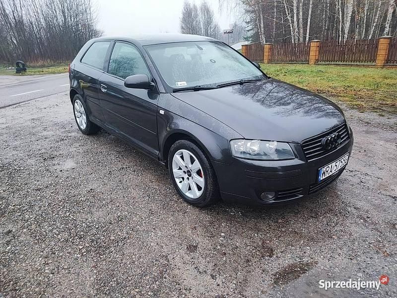 Brązowy Używany 2003 Audi A3 Hatchback | 5900 zł (Drogi) - Obraz 1/4