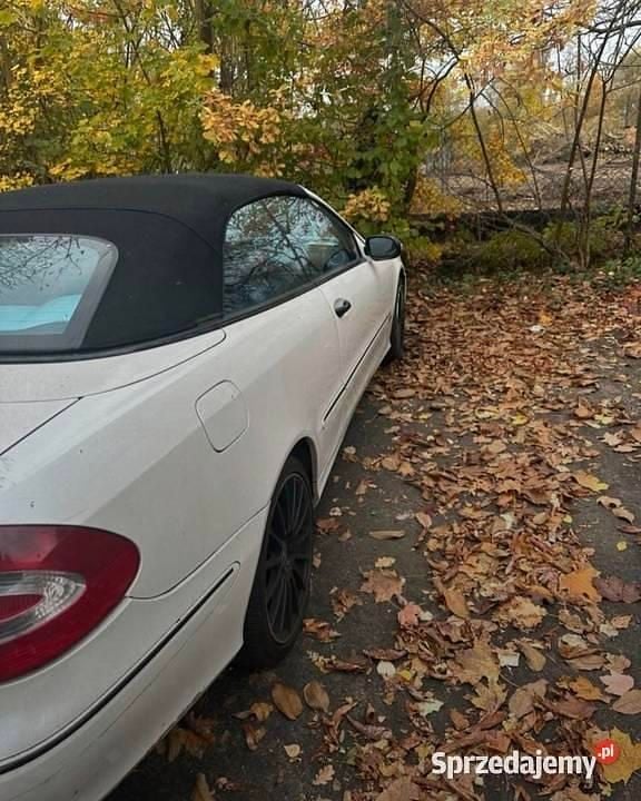 Używany 2004 Mercedes CLK200 Kabriolet | 11 500 zł - Obraz 1/4