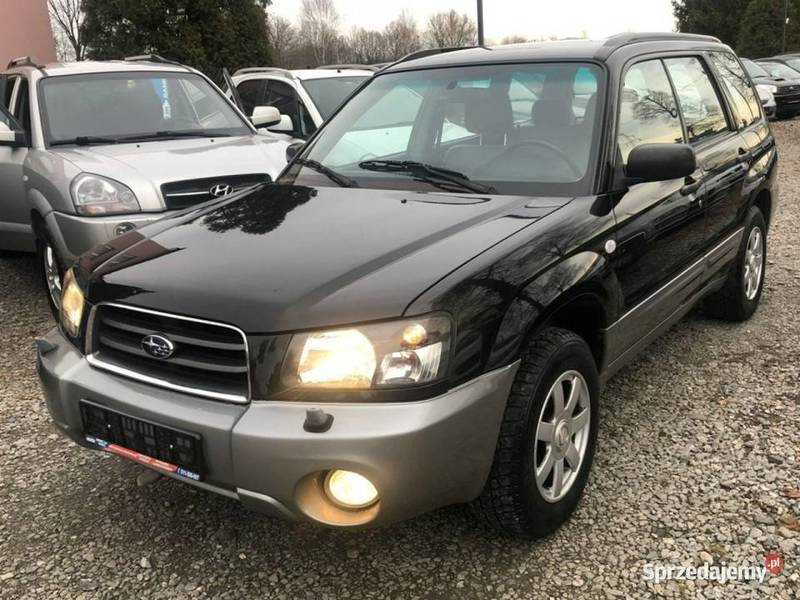 Używany 2005 Subaru Forester 2.0 Benzin 150 KM (zł 15 900