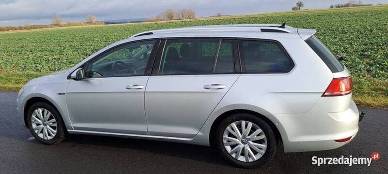 Używany VW Golf VII 2015