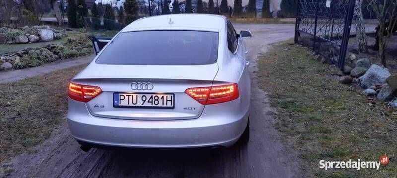 Obraz 2/3