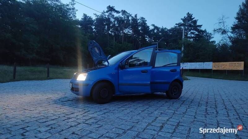 Używany 2004 Fiat Panda Hatchback | 4500 zł (Uczciwa cena) - Obraz 1/4