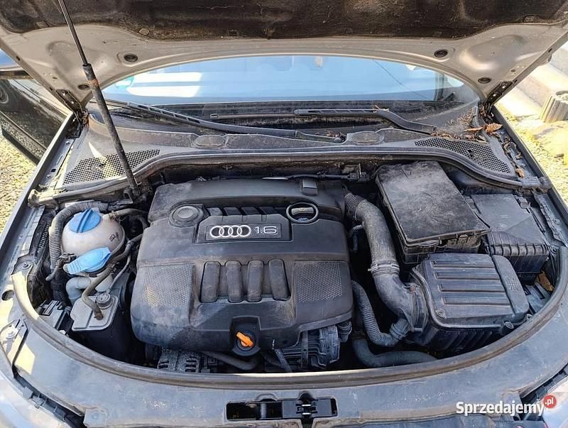 Używany Audi A3 2005 Hatchback