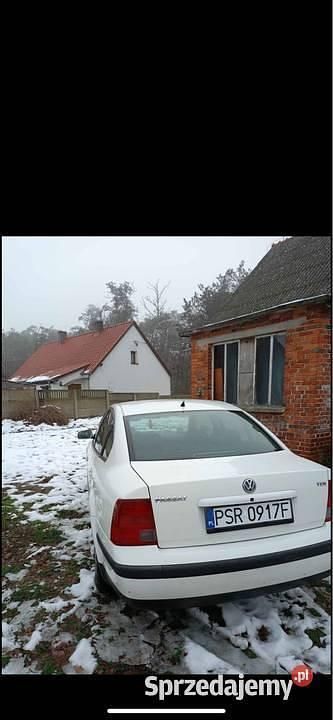 Biały Używany 1999 VW Passat | 4000 zł (Uczciwa cena) - Obraz 1/4