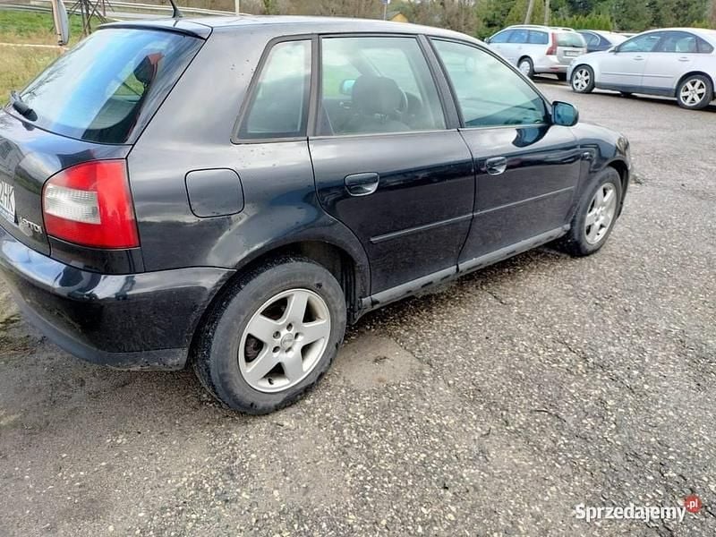 Używany 2003 Audi A3 Sedan/Limuzyna | 4500 zł (Super Cena) - Obraz 1/4