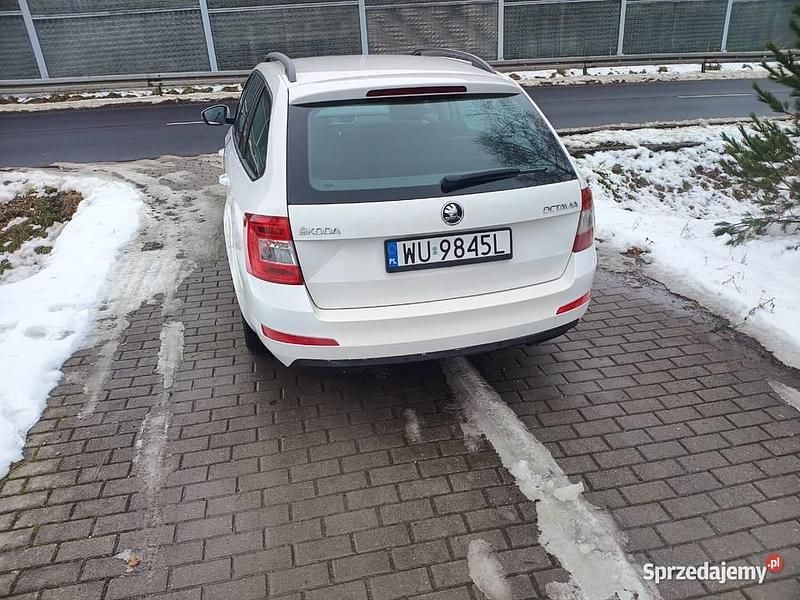 Używany Skoda Octavia 2016 Kombi