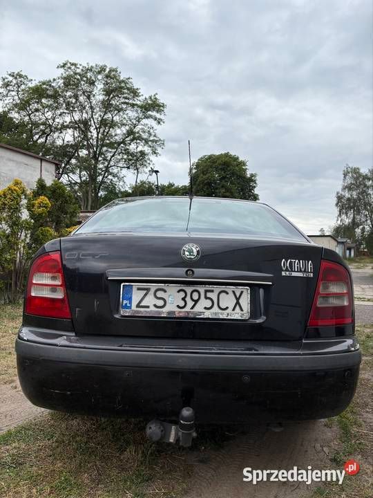 Obraz 3/4