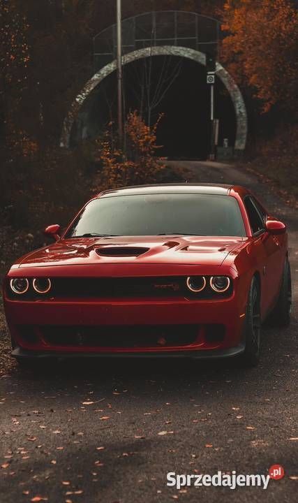 Używany Dodge Challenger 2016 Coupe