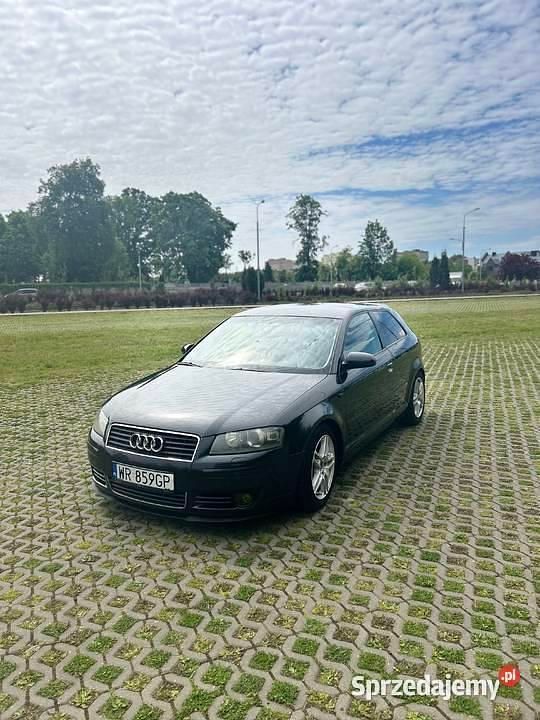 Używany 2003 Audi A3 | 8500 zł (Uczciwa cena) - Obraz 1/4