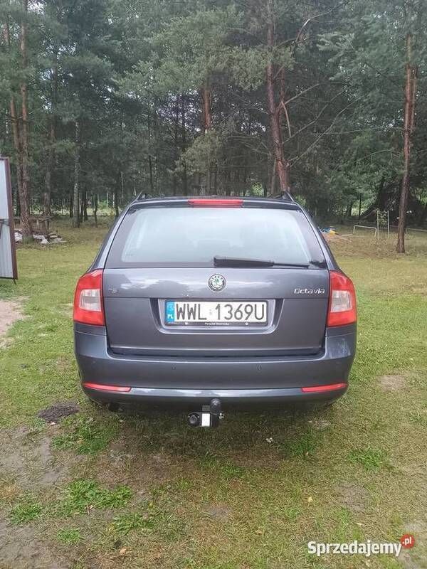 Obraz 3/4