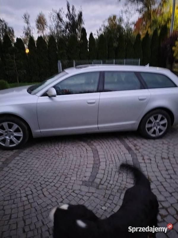 Używany 2009 Audi A6 | 24 500 zł (Uczciwa cena) - Obraz 1/4