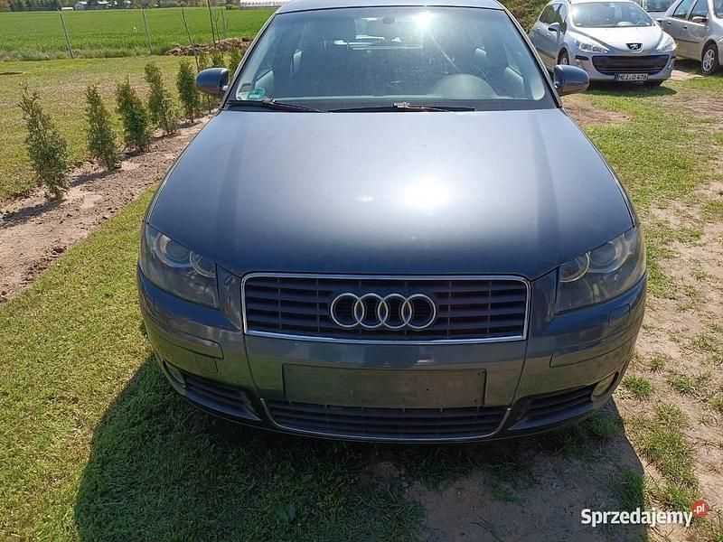 Używany 2003 Audi A3 | 4300 zł (Super Cena) - Obraz 1/4