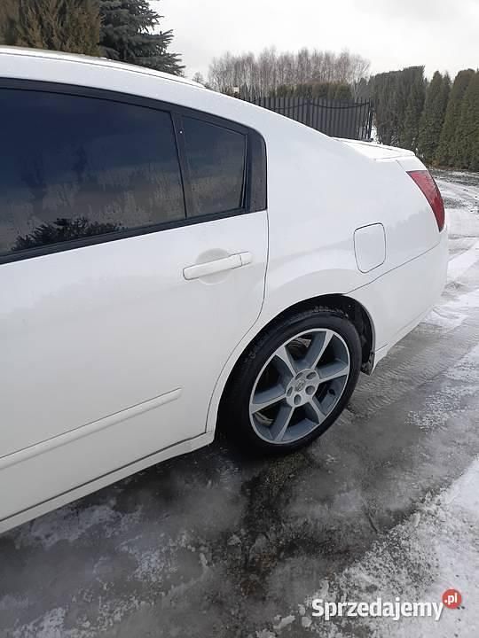 Używany Nissan Maxima 2005 Sedan/Limuzyna