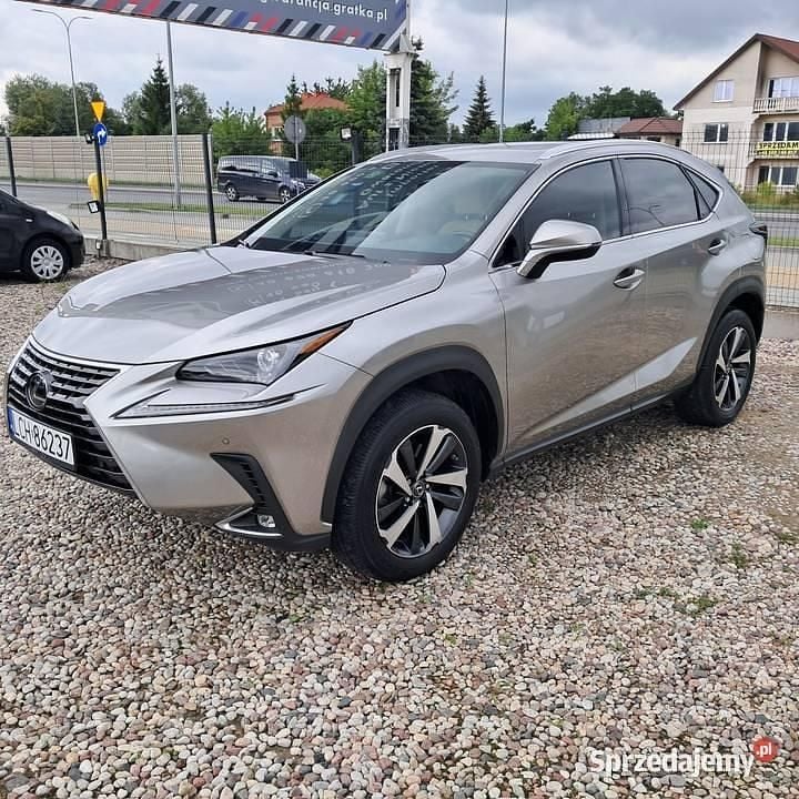 Używany 2021 Lexus NX300 SUV | 132 000 zł - Obraz 1/4