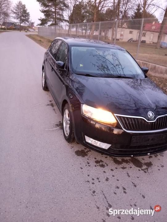 Obraz 3