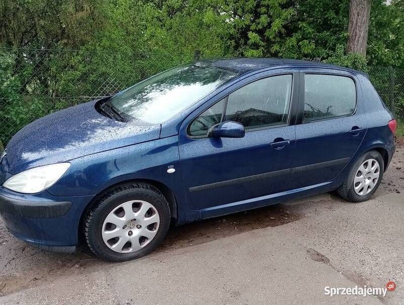 Grafitowy Używany 2004 Peugeot 307 Hatchback | 3000 zł (Super Cena) - Obraz 1/4