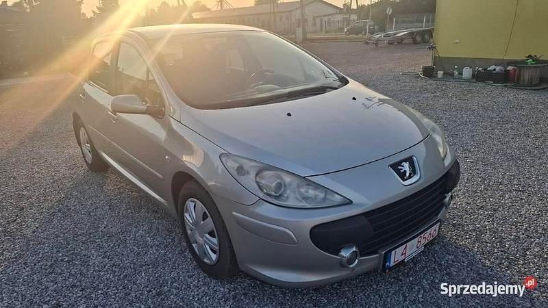 Srebrny Używany 2007 Peugeot 307 Hatchback | 9900 zł (Drogi) - Obraz 1/4