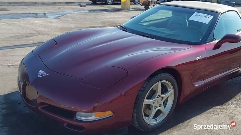 Używany 2003 Corvette C5 Kabriolet | 89 000 zł - Obraz 1/4