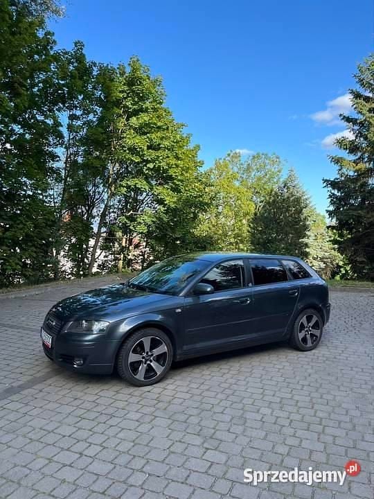 Grafitowy Używany 2004 Audi A3 Hatchback | 11 200 zł (Uczciwa cena) - Obraz 1/4