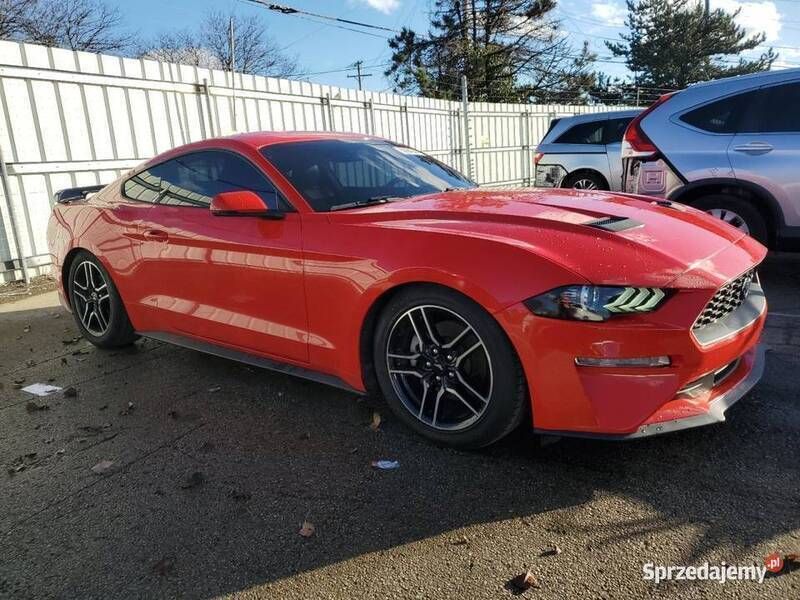 Używany Ford Mustang 2020