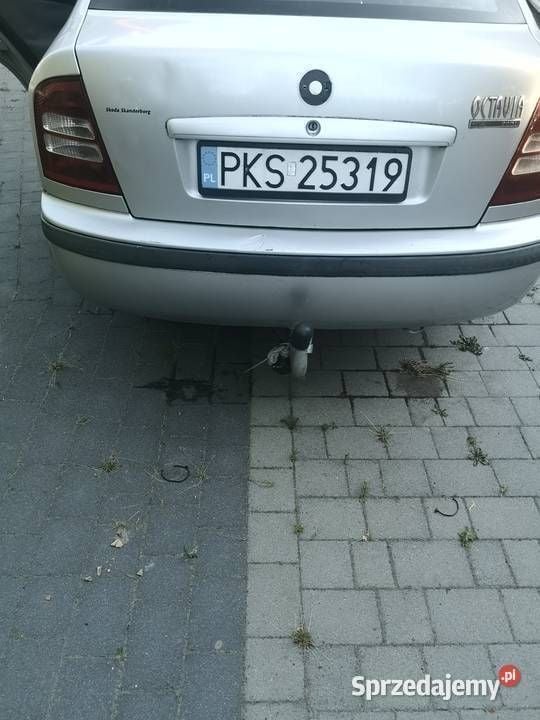 Obraz 4/4