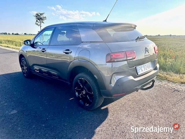 Używany Citroën C4 Cactus 2019 Brązowy Hatchback