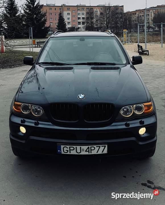 Używany BMW X5 2004 Niebieski SUV
