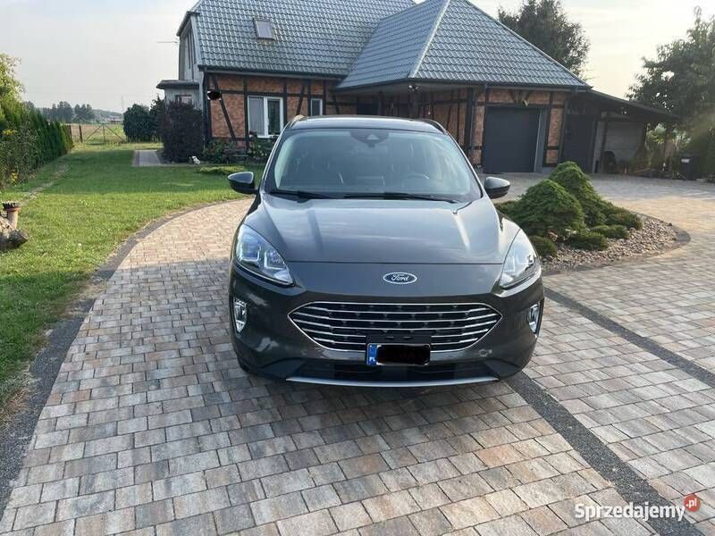 Używany Ford Escape SEL 2020 SUV