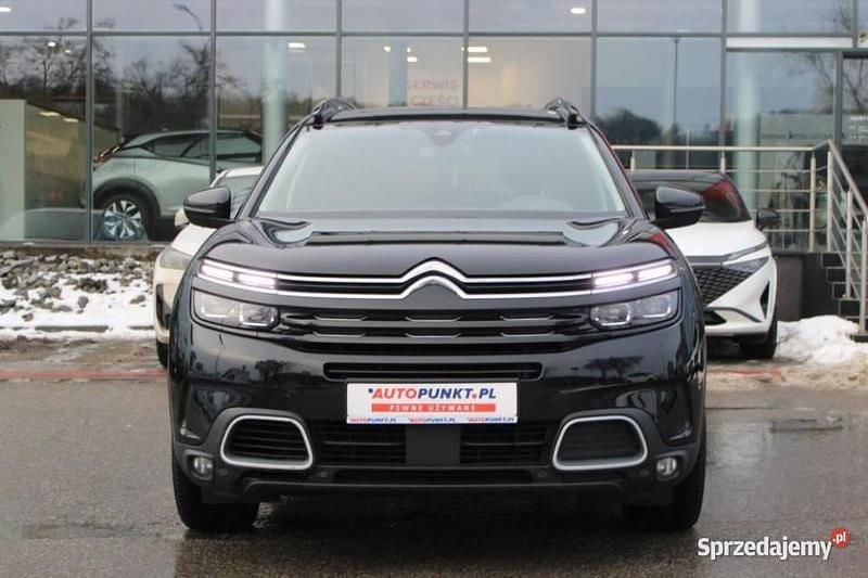 Używany Citroën C5 Aircross 2019 SUV