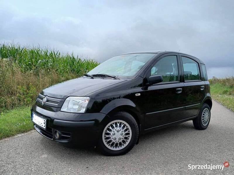 Używany 2009 Fiat Panda Hatchback | 8999 zł (Uczciwa cena) - Obraz 1/4