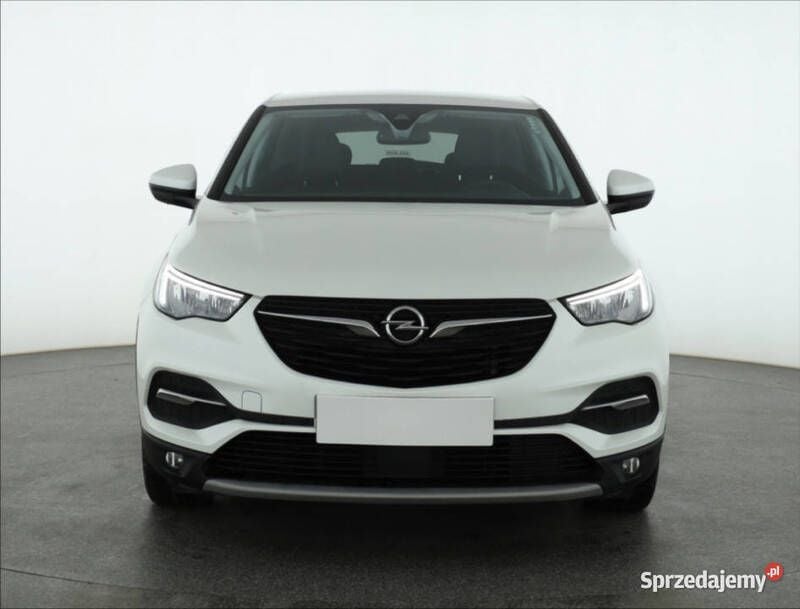 Biały Używany 2018 Opel Grandland X SUV | 47 999 zł (Super Cena) - Obraz 1/4