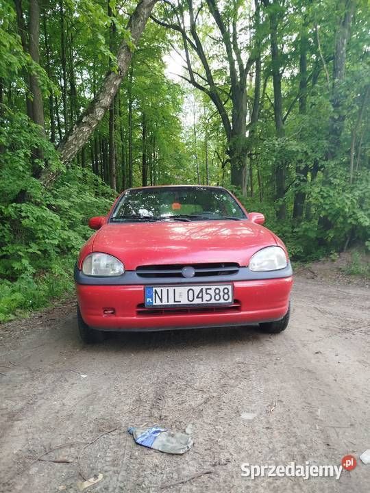 Obraz 4/4
