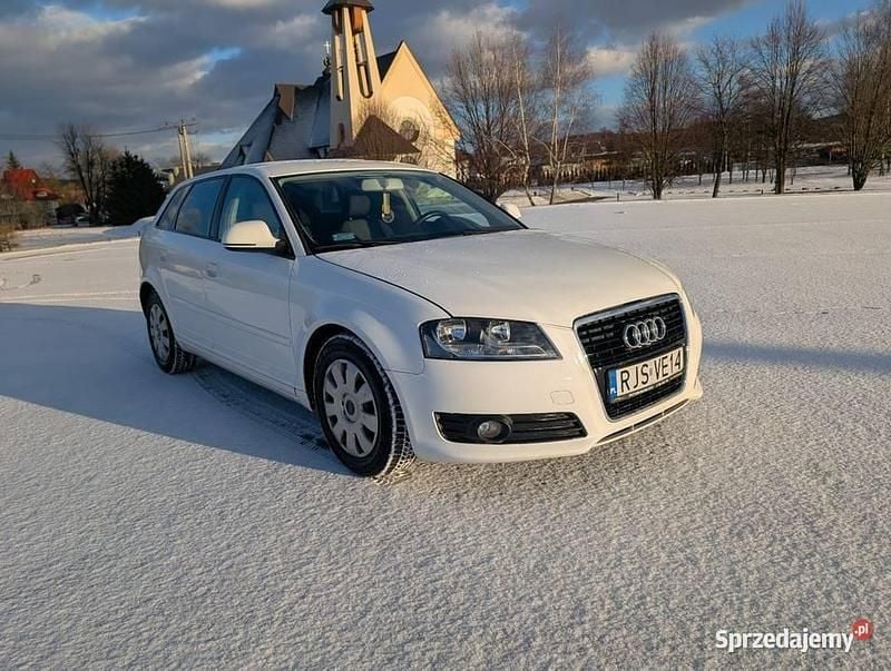 Biały Używany 2009 Audi A3 Hatchback | 17 500 zł (Uczciwa cena) - Obraz 1/4