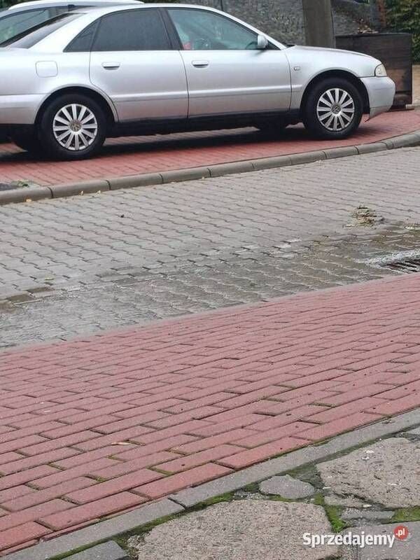 Obraz 3/3