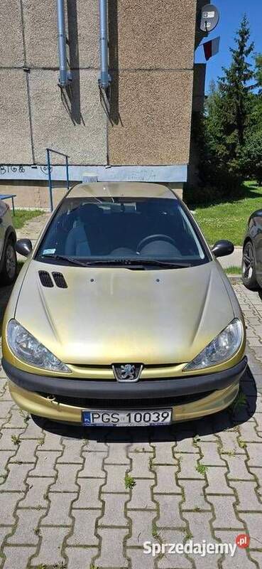 Używany 2003 Peugeot 206 | 1999 zł (Dobra cena) - Obraz 1/4