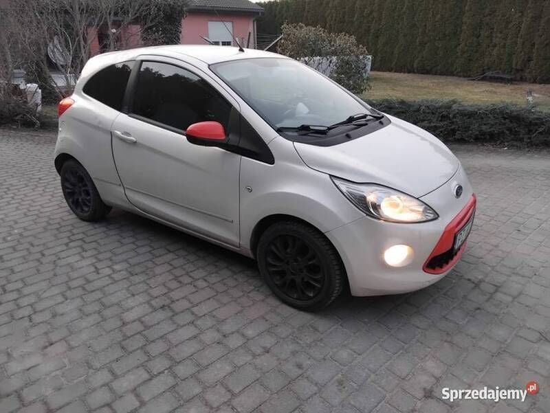 Obraz 2/4