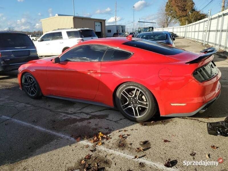 Używany Ford Mustang 2020