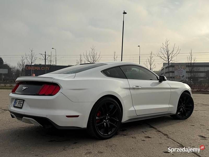 Używany Ford Mustang Performance Edition 372 KM (273 kW) 2015