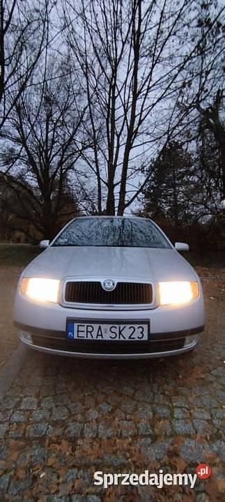 Używany Skoda Fabia 2003 Srebrny Kombi