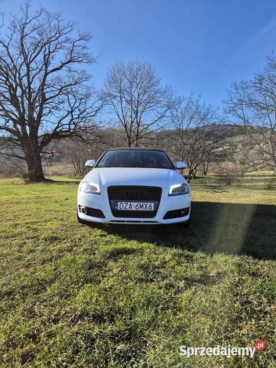 Używany 2008 Audi A3 Kabriolet | 26 500 zł (Drogi) - Obraz 1/4