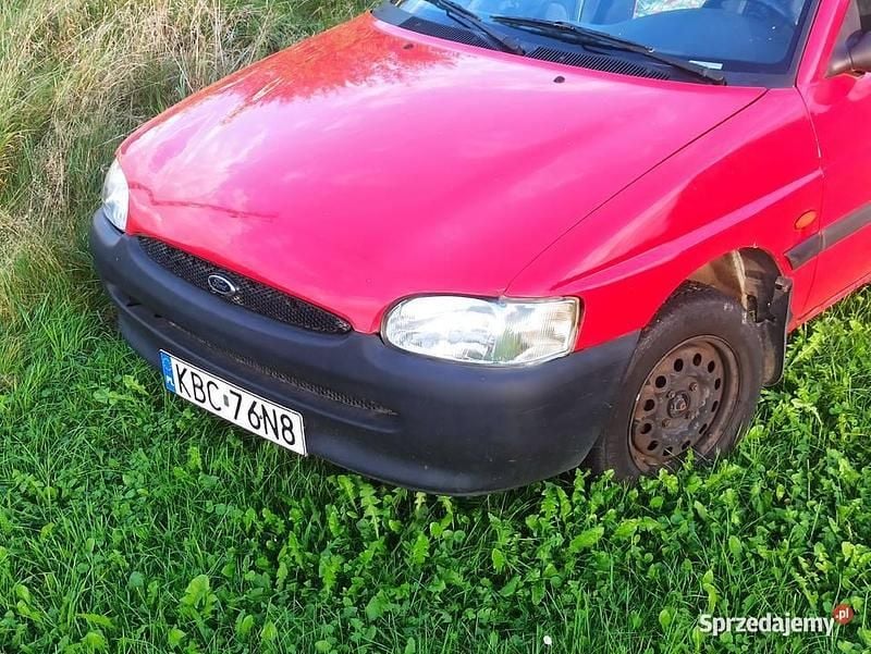 Obraz 3/4