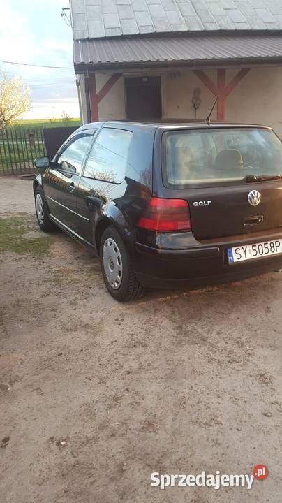 Obraz 3/3