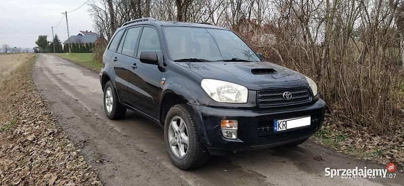 Używany 2003 Toyota RAV4 SUV | 17 300 zł (Uczciwa cena) - Obraz 1/4